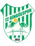12 Bingölspor logo