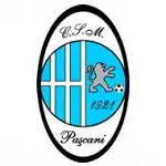 Paşcani logo