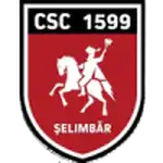 Viitorul Şelimbăr logo