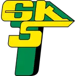 Górnik Łęczna logo