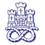 Newcastle Town logo