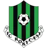 Rokycany logo