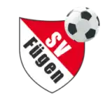 Fügen logo