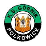 Górnik Polkowice logo
