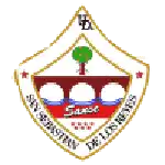 SS Reyes logo