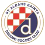 St. Albans Saints logo